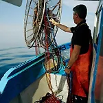 Bed & Breakfast Le Chele Torre Lapillo