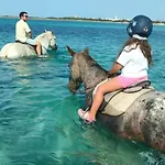 Le Chele - A Due Passi Dal Mare Nocleg ze śniadaniem